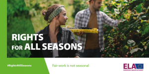 rights for all seasons